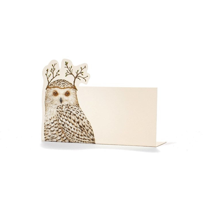 Winter Owl Place Cards - Pack of 12