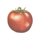 Tomato Place Card - Pack of 12
