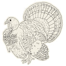 Color Me Turkey Placemat - 12 Sheets