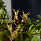 Eric and Eloise Planter Huggers - Set of 6