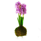 Lavender Hyacinth Moss Ball