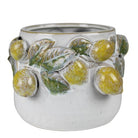 A white ceramic planter pot featuring a raised relief design of yellow-green berries and green leaves, isolated on a white background.