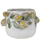 Ceramic planter with leaf and fruit design on a white background