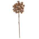 Mammoth Field Fennell Stem
