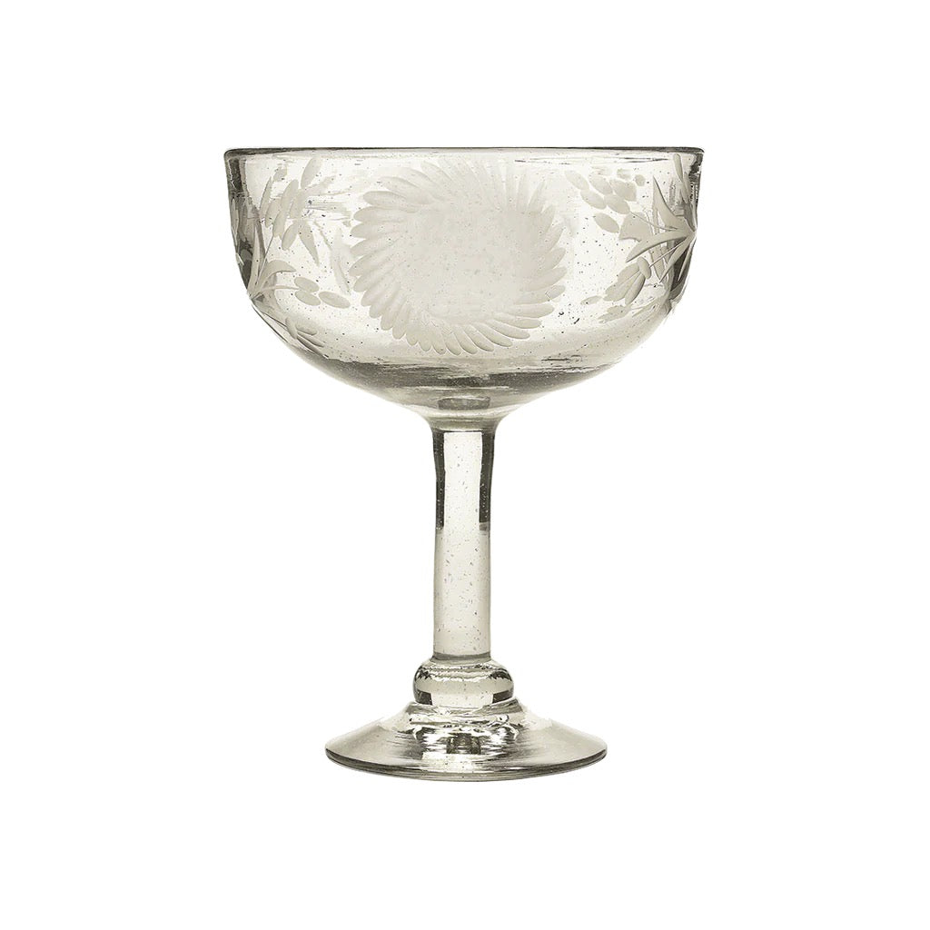 Clear glass coupe with floral etching on a white background