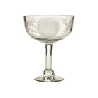 Clear glass coupe with floral etching on a white background