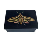Black box with a moth design on a white background