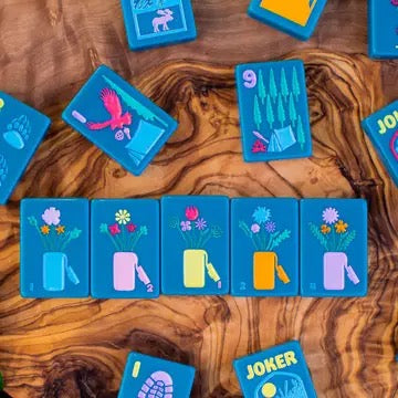 National Park Mahjong Set