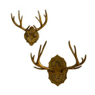 Oak Leaf Antler Wall Mount Large
