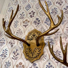 Oak Leaf Antler Wall Mount Large