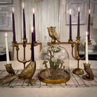 Decorative setup with brass candle holders, purple candles, and a glass dome with decorative elements on a table.