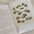 Open book with a page featuring illustrations of oysters on a marble surface