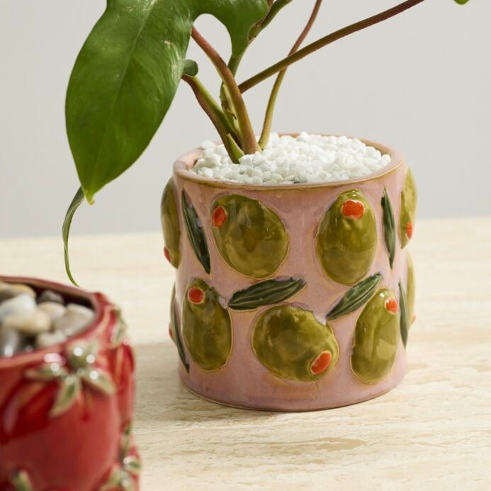 A pink ceramic planter decorated with raised olive motifs, filled with white pebbles and a green leafy plant, shown on a light tabletop with another plant partially visible at the left edge.