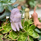 Puppy Plant Sticks