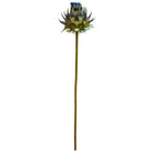 Purple Blooming Artichoke Stem