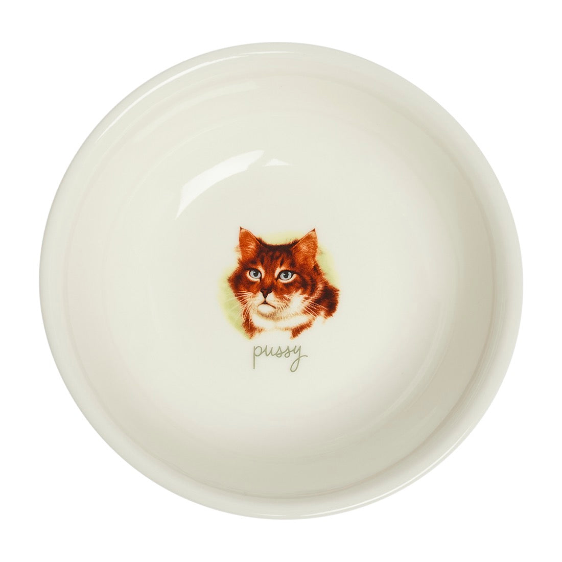An off-white ceramic bowl featuring a printed illustration of a fluffy orange tabby cat with blue eyes and the word 'pussy' written in cursive below it, set against a plain white background.