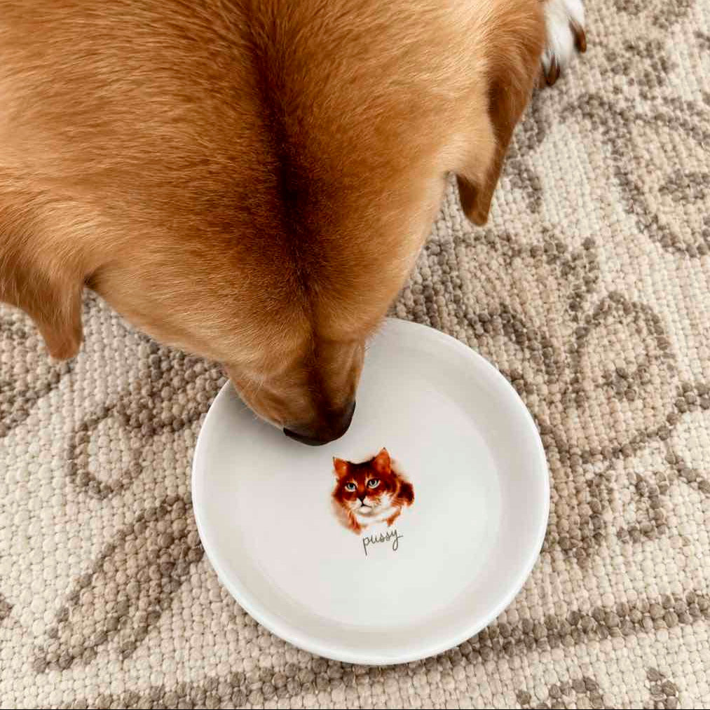 A golden-brown dog drinking from a small white ceramic bowl decorated with a custom illustrated cat face and the name 'puppy' underneath, placed on a patterned beige rug.