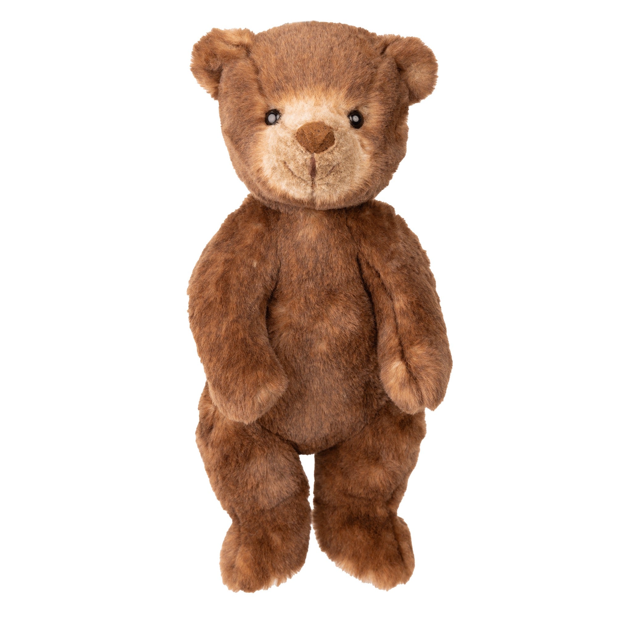 Brown teddy bear on a white background