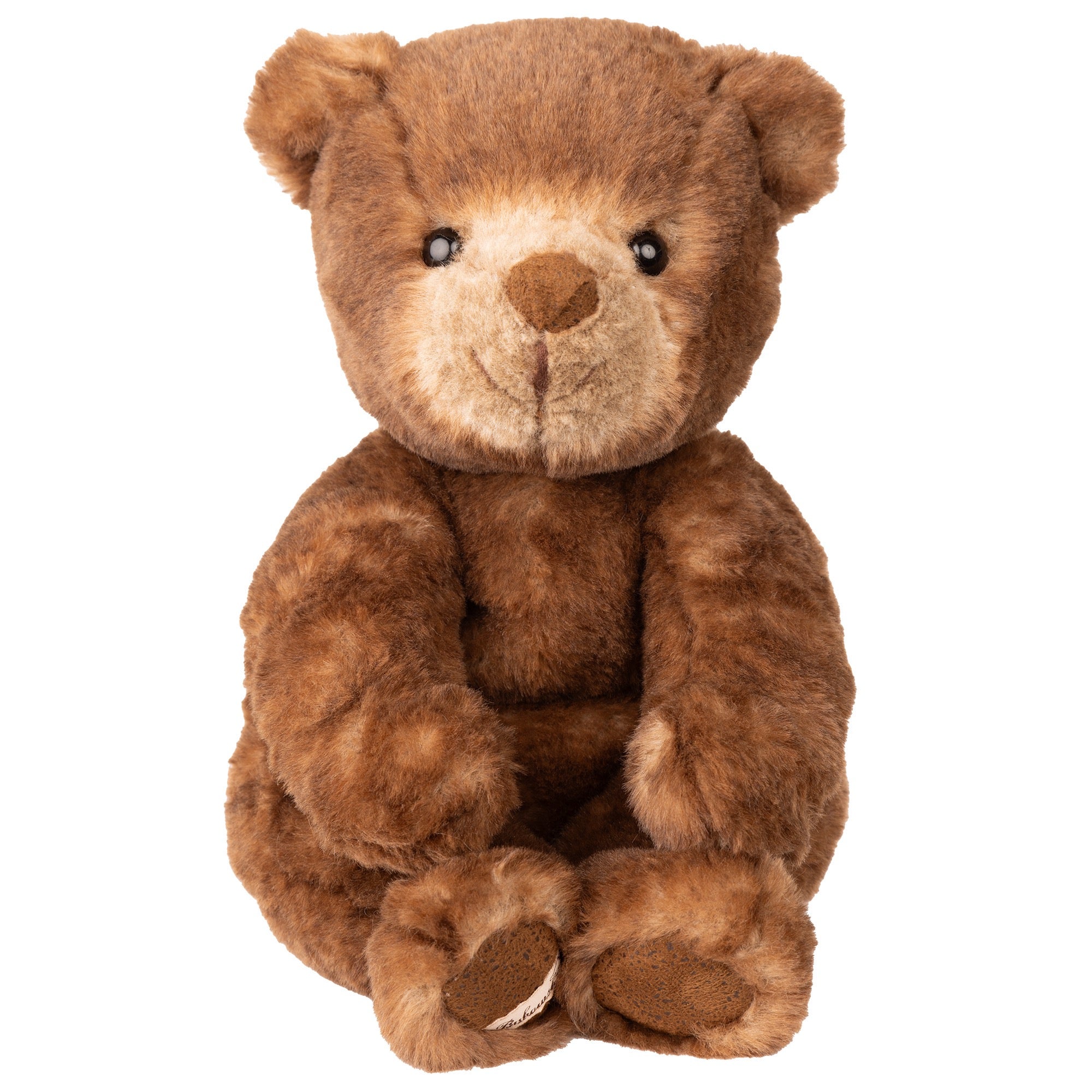 Brown teddy bear on a white background