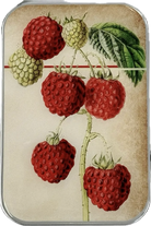 Raspberry Notions Tin