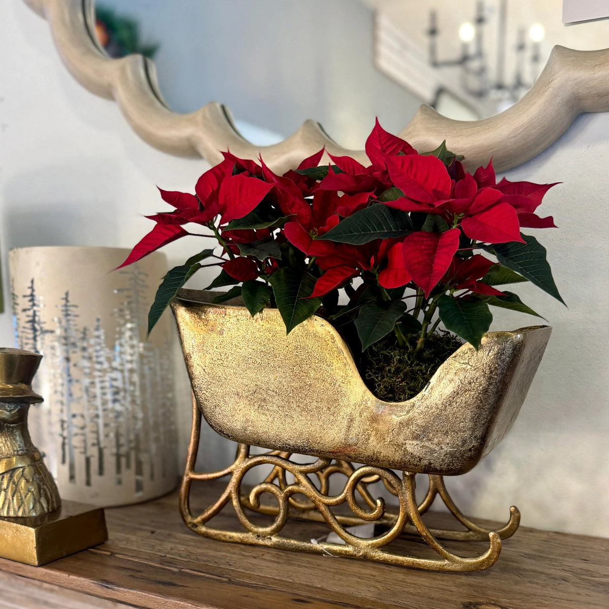 Sleigh Ride Planter Small