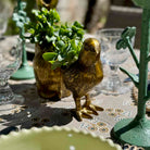 Bronze chicken figurine on a decorative table with plants and glasses.