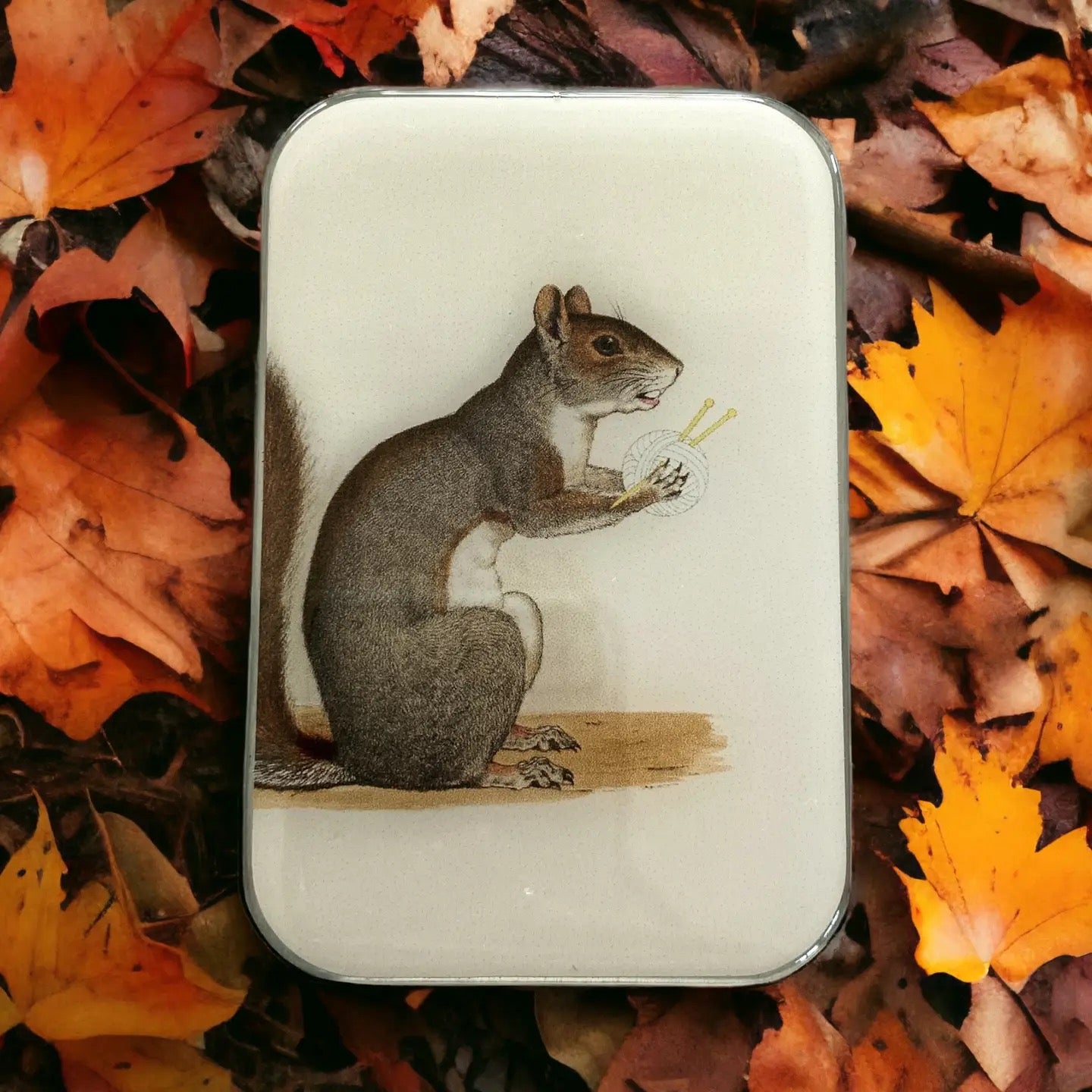 Small tin box with a squirrel illustration on a bed of autumn leaves