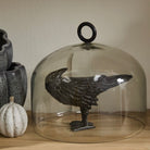Decorative bird figure under a glass dome on a wooden surface with a neutral background