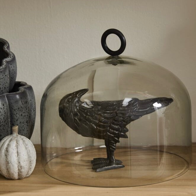 Decorative bird figure under a glass dome on a wooden surface with a neutral background