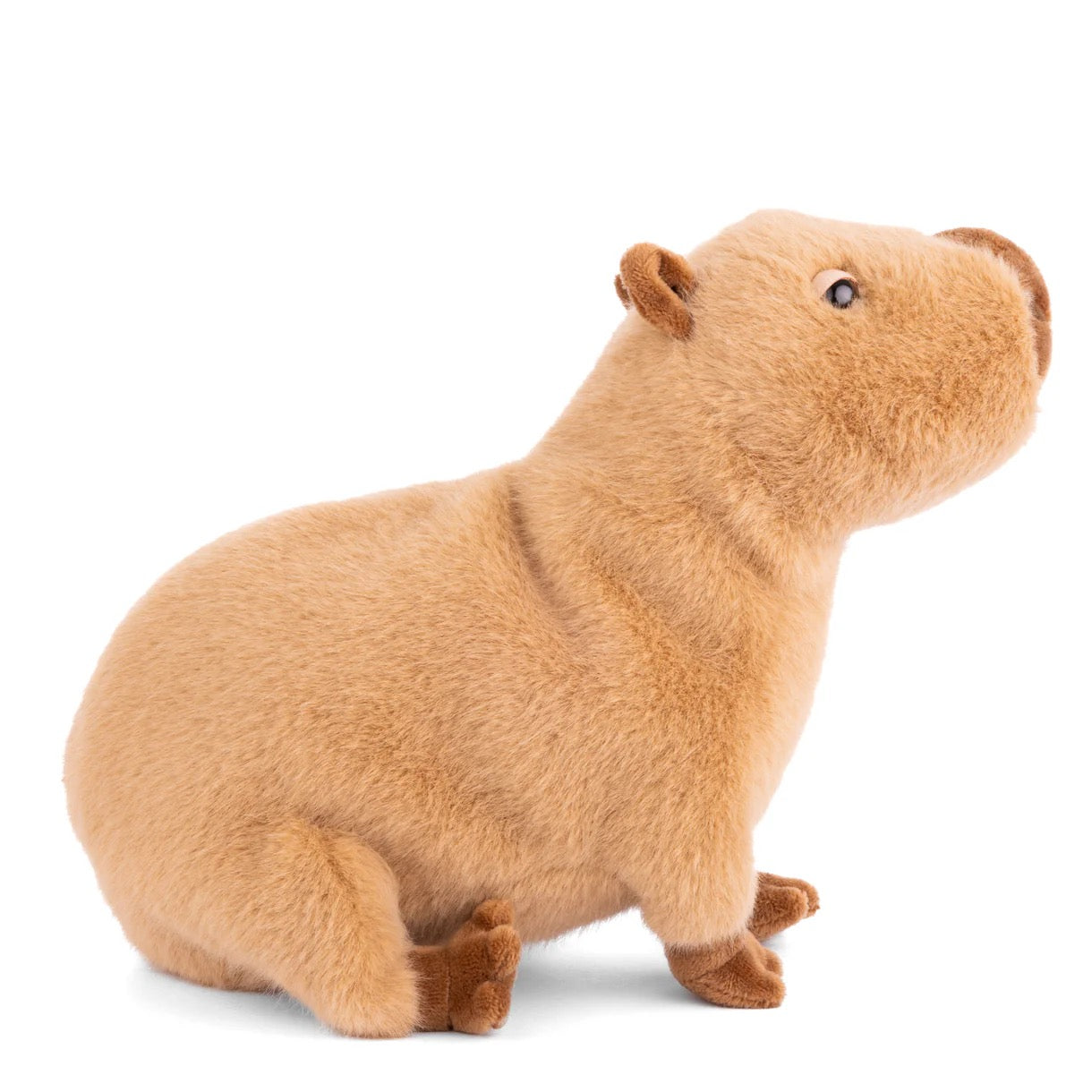 Plush toy of a capybara on a white background