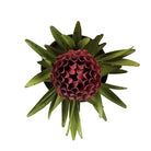 An artificial protea-style floral arrangement with a deep burgundy center and green radiating leaves, shown against a plain white background.