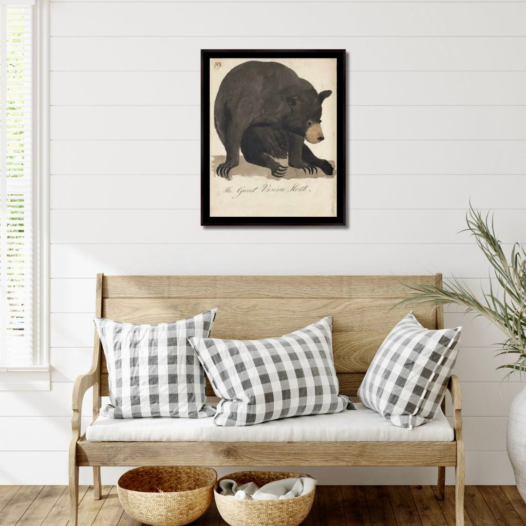 Ursine Sloth Bear Print