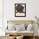 Ursine Sloth Bear Print