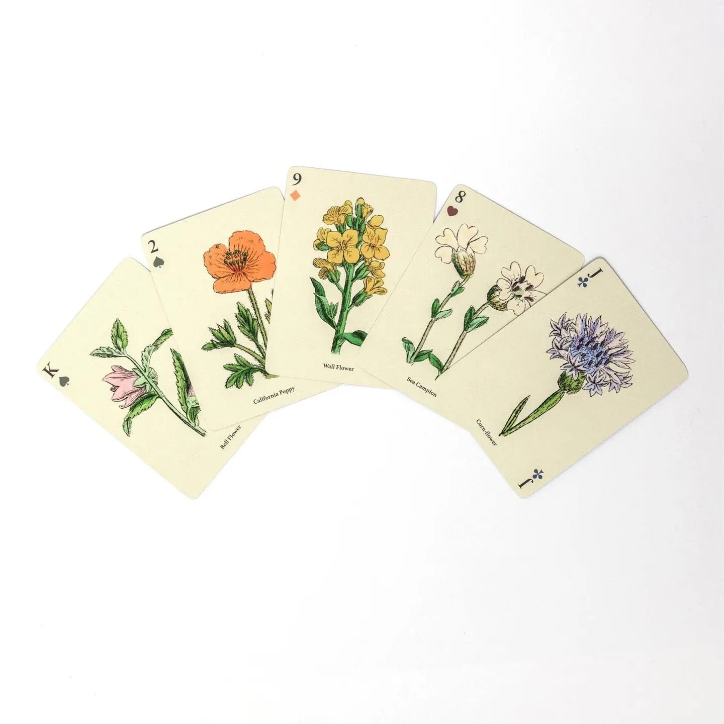 Set of playing cards with floral illustrations on a white background