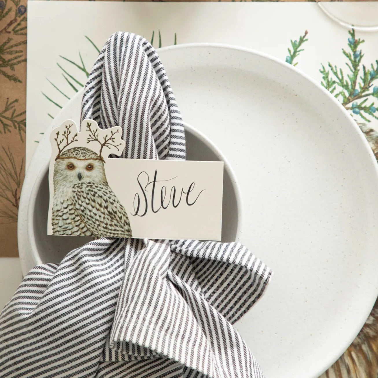 Winter Owl Place Cards 