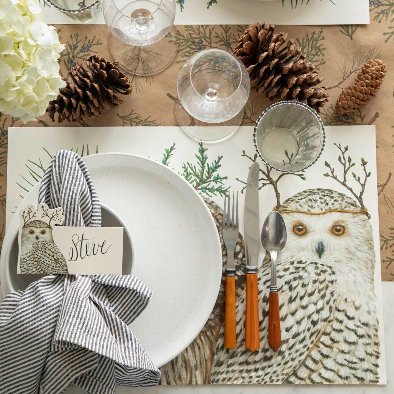 Winter Owl Place Cards