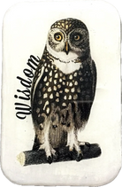 Owl illustration with 'Wisdom' text on a white background
