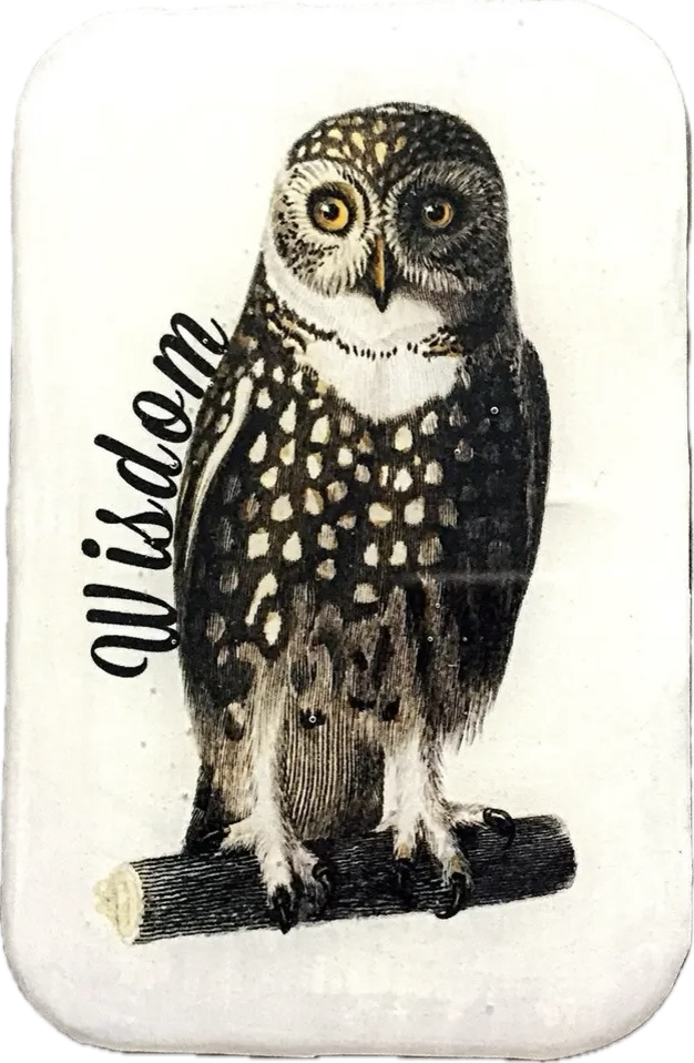 Owl illustration with 'Wisdom' text on a white background