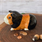 Guinea Pig Money Bank