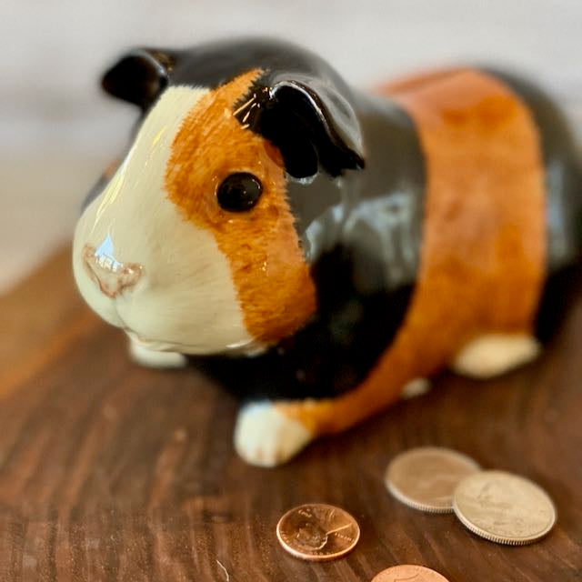 Guinea Pig Money Bank