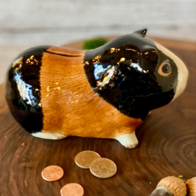 Guinea Pig Money Bank