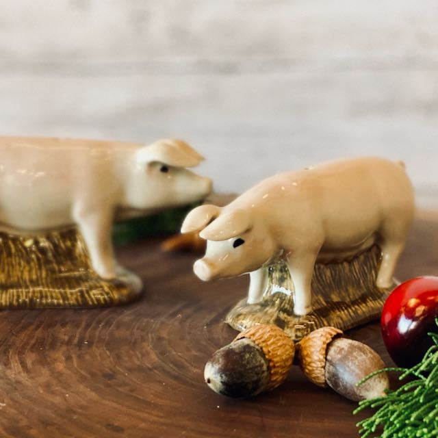 British Lop Pig Salt & Pepper Shaker