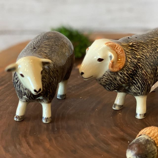 Herdwick Sheep Salt & Pepper Shaker