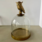 Owl Cloche