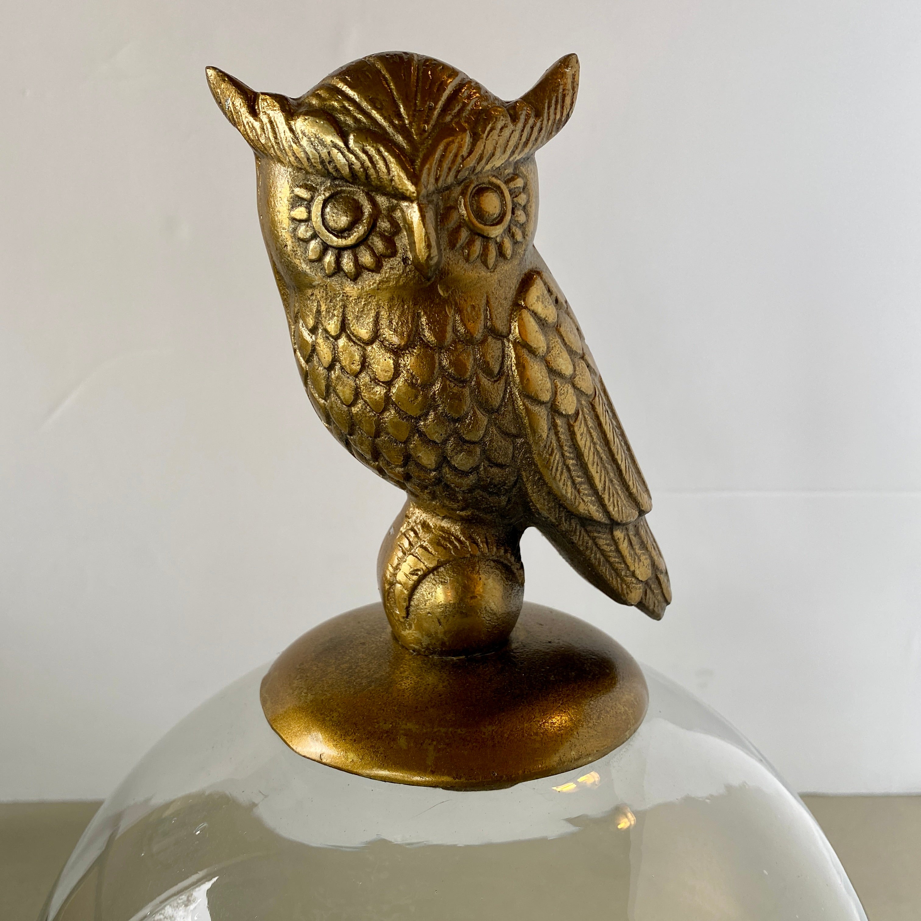 Owl Cloche